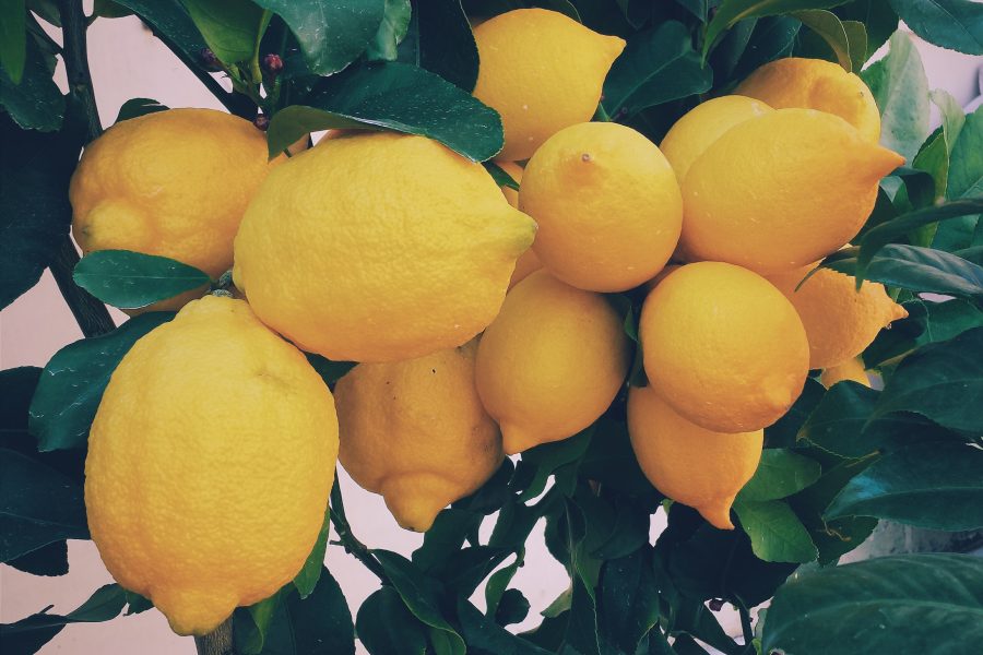 Limones Naturales para Helado